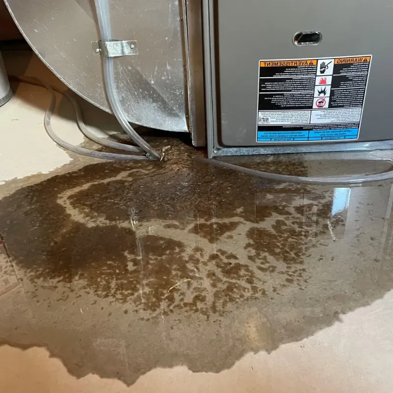 Pipe Burst and Leak Restoration in Cambria County, PA